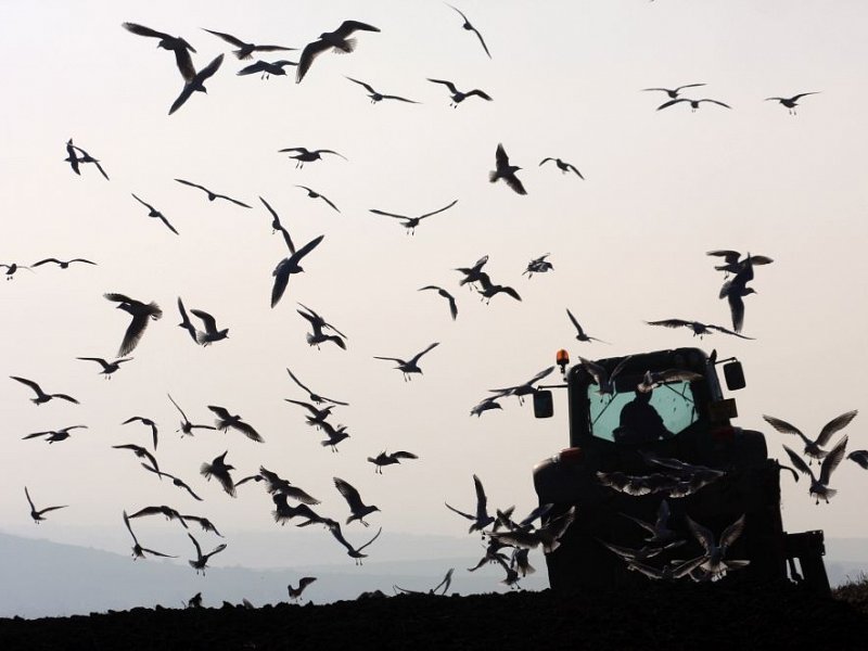 Land use change, farming and the CAP
